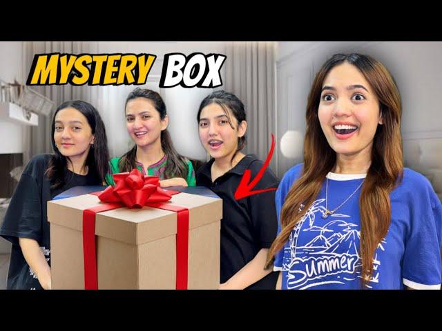 10 lakh ka Mystery Box |Areeb bhai ka Birthday Gift| Sistrology