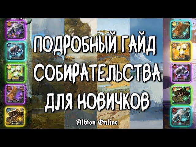 БЫСТРАЯ ПРОКАЧКА СОБИРАТЕЛЬСТВА | ALBION ONLINE | ГАЙД ДЛЯ НОВИЧКА | АЛЬБИОН ОНЛАЙН | СОБИРАШКА