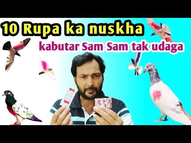 kabootar ki parwaz ka nuskha! 10 Rupa ka nuskha sa kabutar uraga Sam Sam Tak