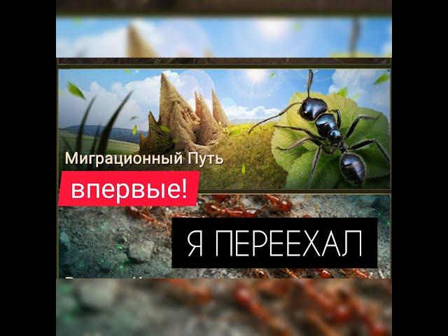 МИГРАЦИЯ! Новый дом для меня и всего альянса! The Ants: Underground Kingdom