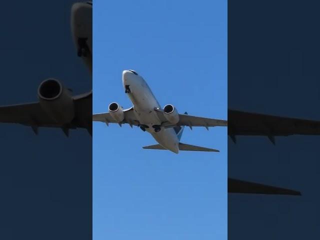 WestJet Boeing 737-7CT Departing from Toronto YYZ#shorts