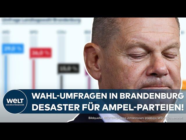 LANDTAGSWAHL IN BRANDENBURG: Nächste Niederlage? Laut aktueller Umfrage AfD deutlich vor SPD