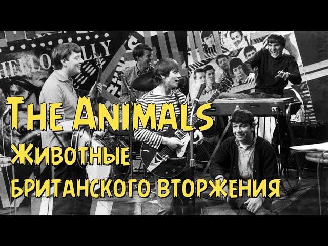 The Animals of the British Invasion