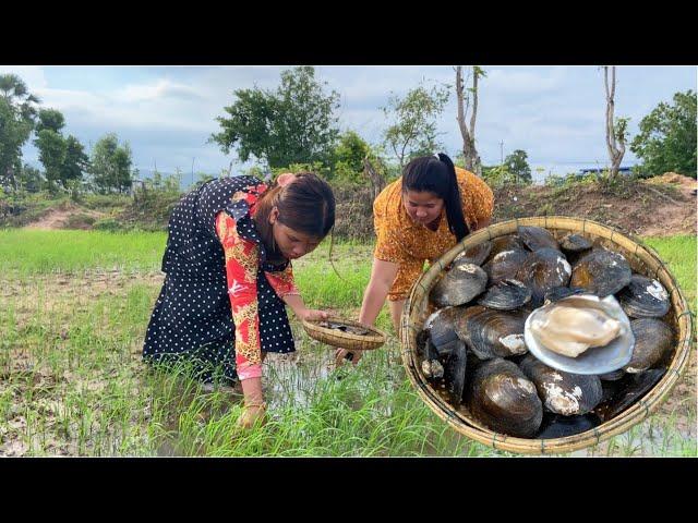 Pick shell take fried with sour recipe cooking countryside - Cooking With Sreyda