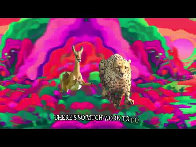 Thundercat & Tame Impala - 'No More Lies' (Lyric Video)