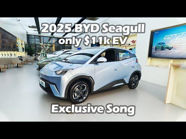 Exclusive Song of 2025 New BYD Seagull EV Car - Big Bear Test Car