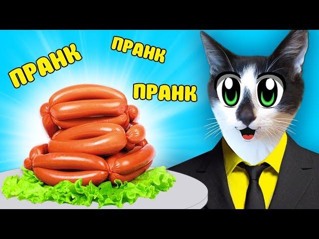 ПРАНКИ НА 1 АПРЕЛЯ! КОТ И КОШКА МУРКА РАЗЫГРАНЫ! НОВЫЕ ПРИКОЛЫ! 5 СМЕШНЫХ ПРАНКА НАД ДРУЗЬЯМИ