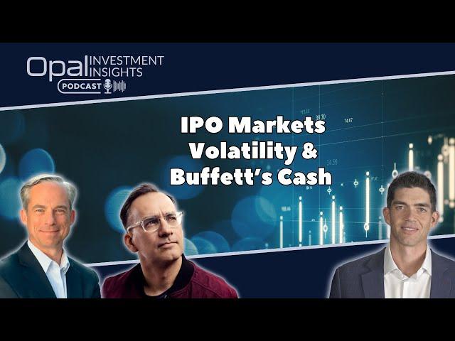 IPOs, Market Volatility and Buffett's Cash Horde