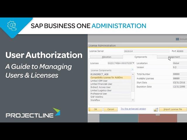 SAP Business One User Authorization | A Guide to Managing Users & Licenses