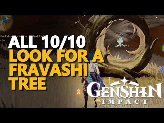 Look for a Fravashi Tree Genshin Impact