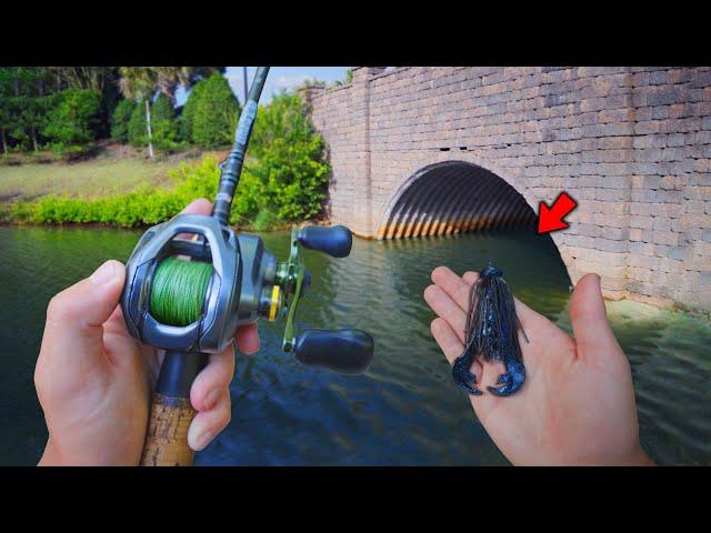 Fishing For GIANT Bass In URBAN Canals! (Bank Fishing)