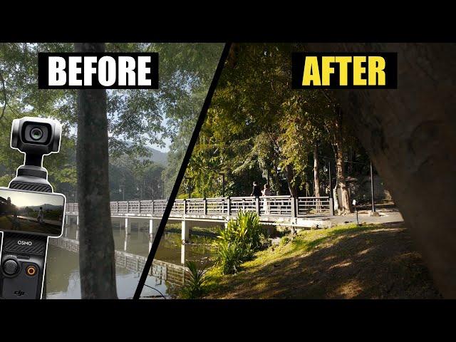 Color Grading DJI Osmo Pocket 3 D-Log M (Free LUT)