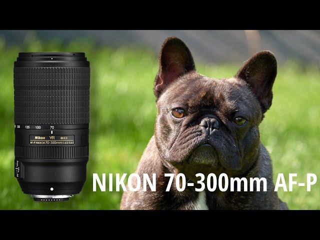 NIKON 70-300mm AF-P f/4.5-5.6 E ED VR - REVIEW