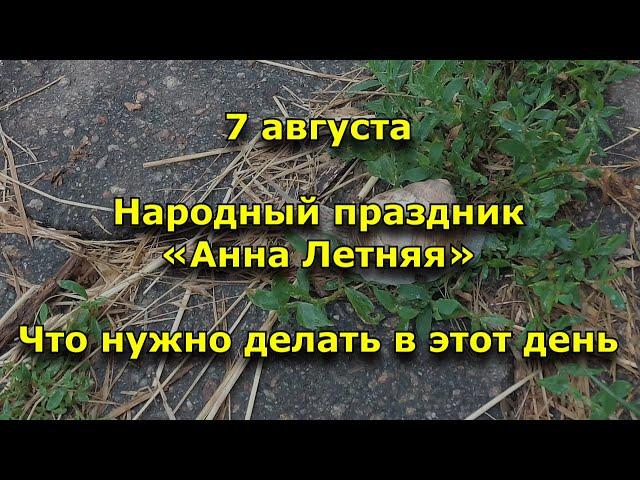 Народный праздник «Анна Летняя». 7 августа. Что нужно делать в этот день