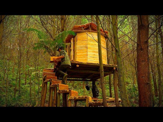 Great High Shelters for Wilderness Life | Carpenter 10 Years Design 17 Days Crafts