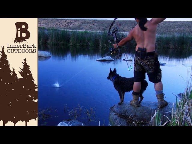 How to BOW FISH | Tips, Gear and Getting Started