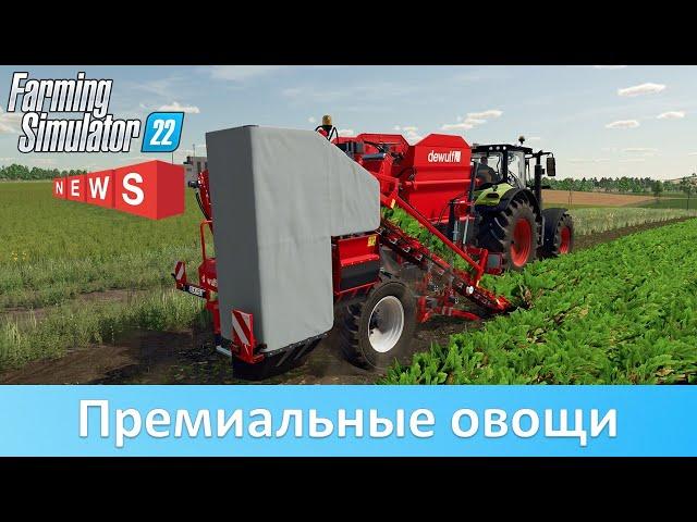 Новости FS 22 - Почем овощи? Доходность моркови, пастернака и свеклы в Premium Expansion