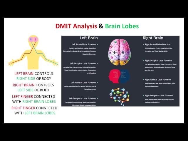 What is DMIT Test, DISCOVER BRAIN DERMATOGLYPHICS MULTIPLE INTELLIGENCE TEST (DMIT)