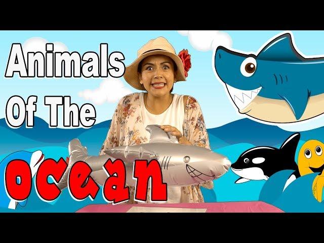 Animals Of The Ocean | Language Learners