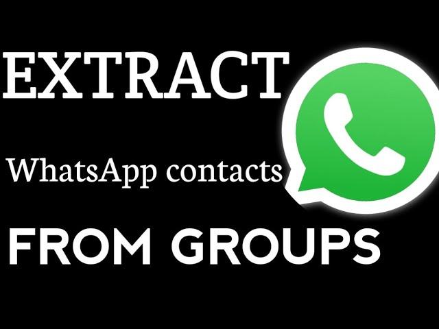 How can i export whatsapp group phone numbers? (Get unlimited whatsapp contacts)