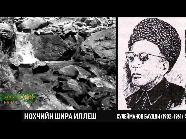 Сулейманов Баудди   Шира нохчийн иллеш