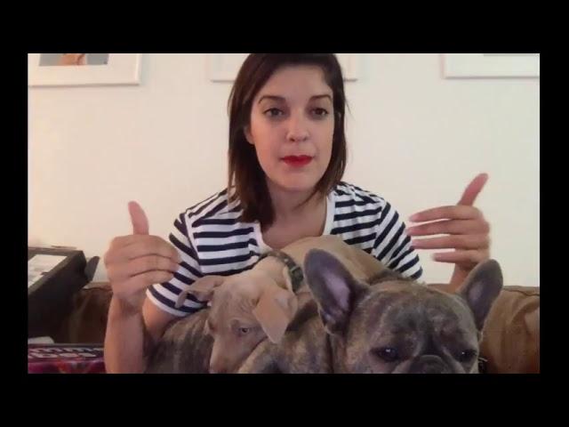 Catrific Live Stream | catrific