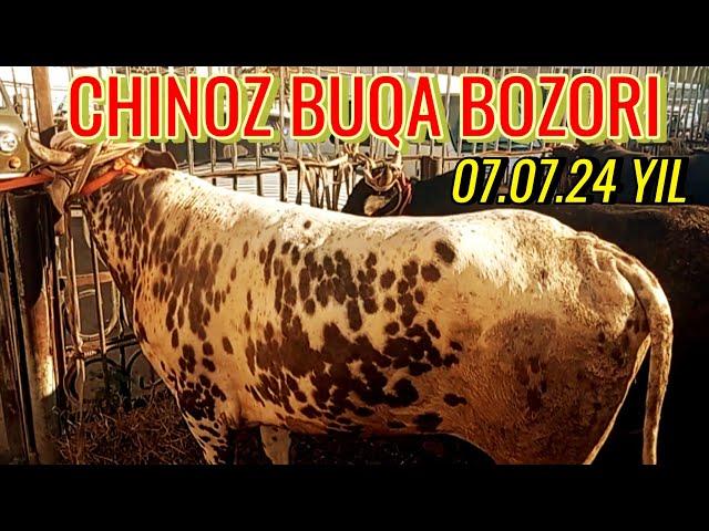 CHINOZ BUQA BOZORIDAGI BUGUNGI NARXLAR 