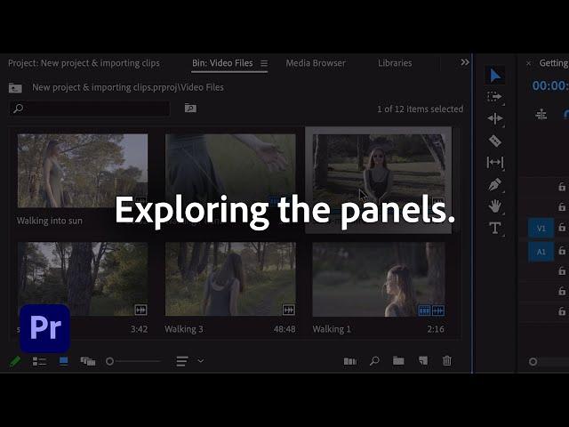 Exploring the Panels workspace | Adobe Premiere Pro