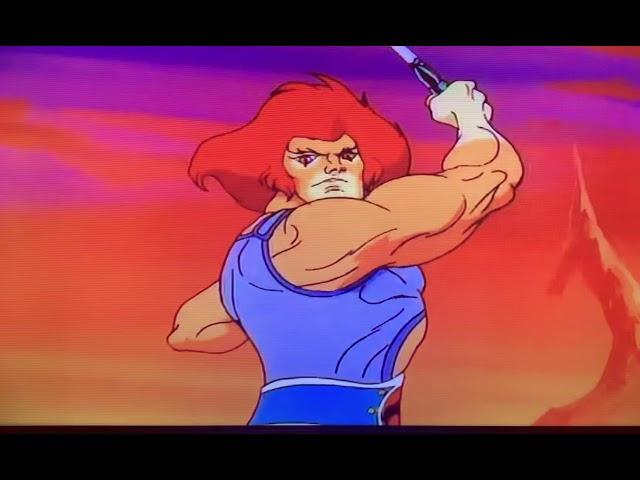 Lion-O summons the ThunderCats