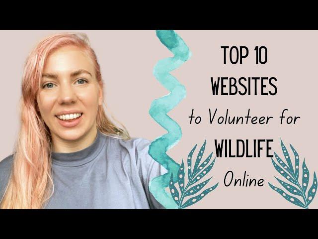 Top 10 Websites to Volunteer for Wildlife Online