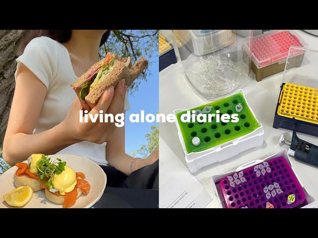 living alone in London‍ days in lab, brunch date, cooking Korean food