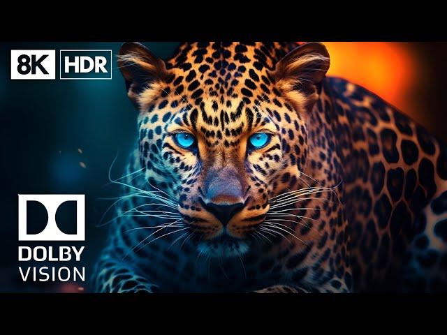 8K HDR 60fps Wildlife Dolby vision - Epic colors world