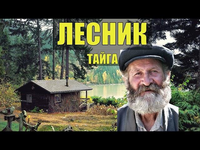 СУДЬБА ЛЕСНИКА ИСТОРИЯ из ЖИЗНИ ОТШЕЛЬНИК ДОМ в ЛЕСУ ЖИЗНЬ в ТАЙГЕ РАССКАЗЫ ИСТОРИИ НА НОЧЬ АУДИО