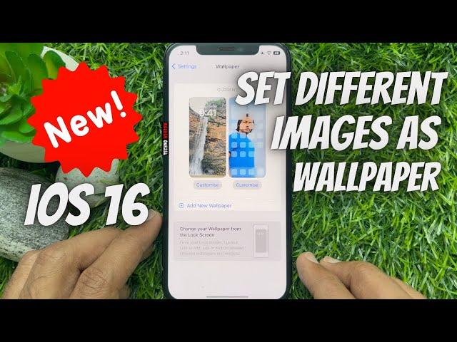 How to set different images as iPhone Lock Screen and Home Screen wallpaper in iOS 16