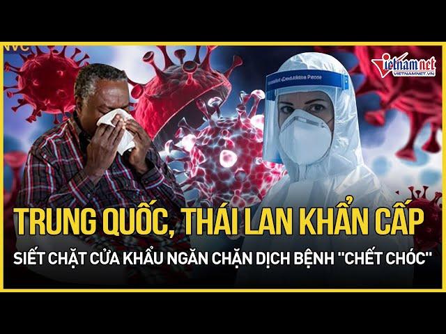 Trung Quốc, Thái Lan khẩn cấp siết chặt cửa khẩu ngăn chặn dịch bệnh "chết chóc" bí ẩn | VietNamNet