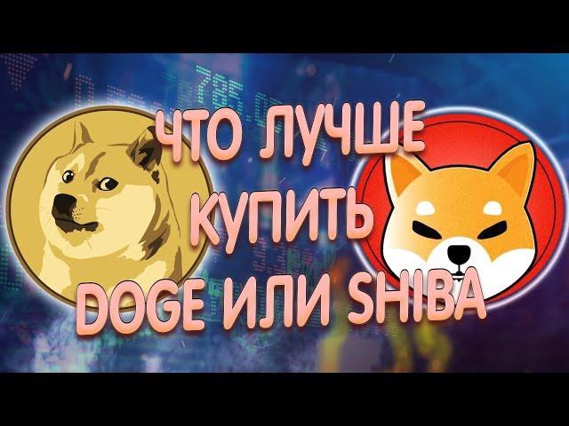 КАКОЙ КОИН ВЫГОДНЕЕ И ЛУЧШЕ ПОКУПАТЬ? SHIBA INU ИЛИ DOGECOIN? КУРС ДОГИ И ШИБЫ, ПРОГНОЗ!