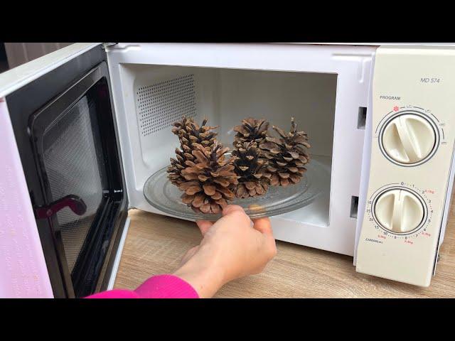 Amazing Idea!   Look What I Did By Heating Pine Cones In The Oven!