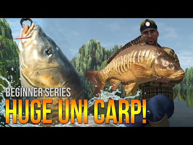 [Lvl.50] Weeping Willows UNIQUE Carp! Method Leads & More! | Fishing Planet