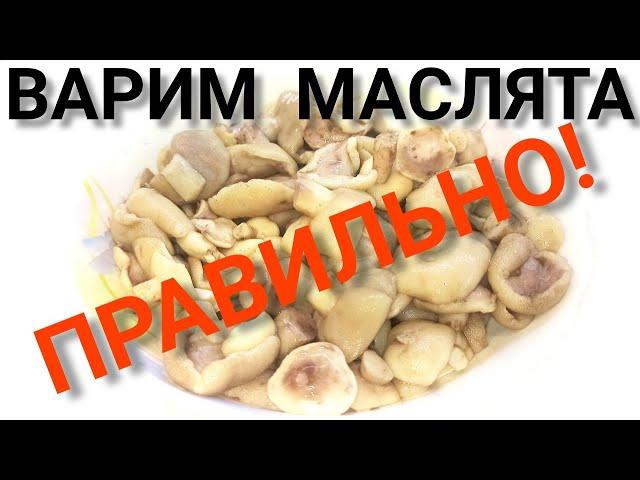 ВАРКА МАСЛЯТ ПЕРЕД ЗАМОРОЗКОЙ! ПЕРЕБИРАЕМ и ЧИСТИМ  грибы МАСЛЯТА ПРАВИЛЬНО!