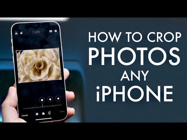 How To Crop a Photo On ANY iPhone! (2021)