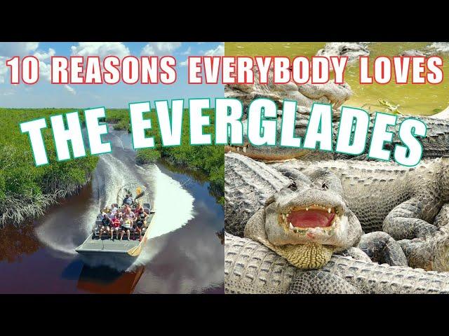 10 MUST-SEE Spots In EVERGLADES NATIONAL PARK & 2 BONUS Tips!