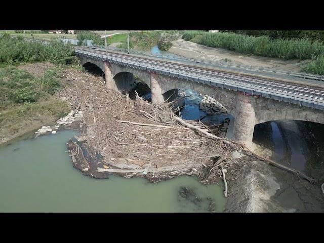 Forlì tronchi sotto al ponte della ferrovia