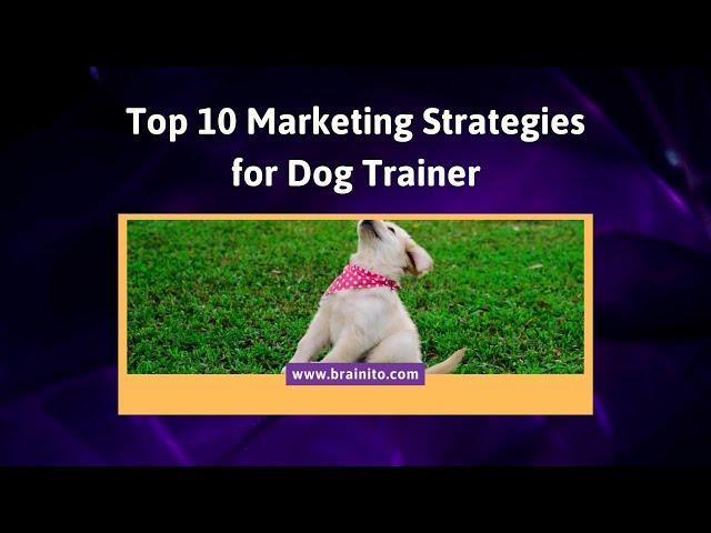 Marketing Strategies For Dog Trainer