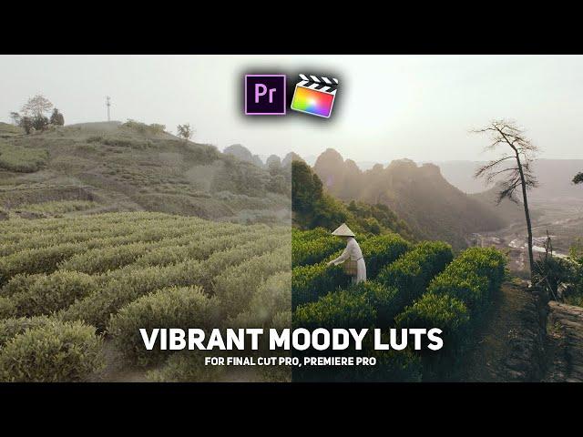 FREE Crazzyy Vibrant Moody LUTs for Premiere Pro, Final Cut Pro, Da Vinci etc.