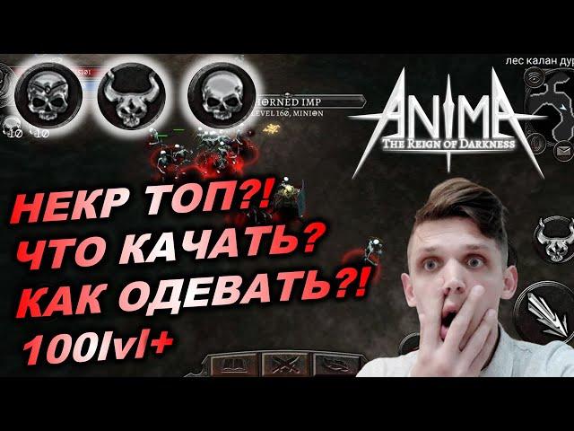 Anima ARPG Первый гайд на некроманта. Первый взгляд 100+ уровень. Что качать? Какие статы?