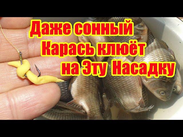 Насадка на карася Рыболовная насадка Тесто для рыбалки На что ловить карася