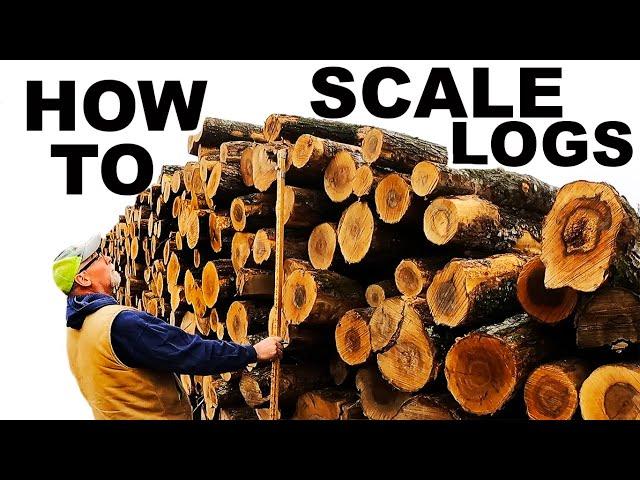 HOW TO SCALE A LOG PILE FOR CORD MEASUREMENT!!