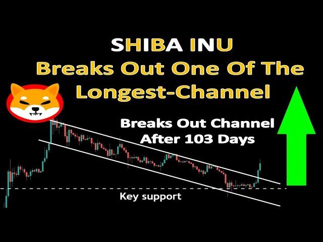 SHIBA INU Breaks Out One Of The Longest-Channel