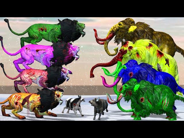 10 Zombie Lions vs Cow Cartoon Rescue Saves by Woolly Mammoth Elephant Animal Battle Fights Videos