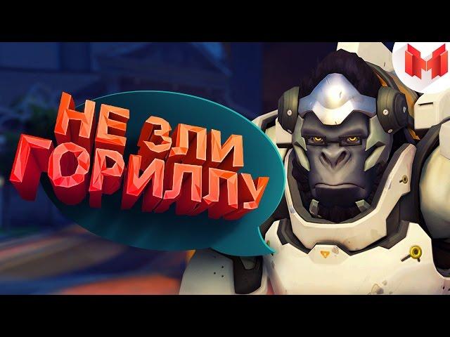 #2 Overwatch - Не зли гориллу